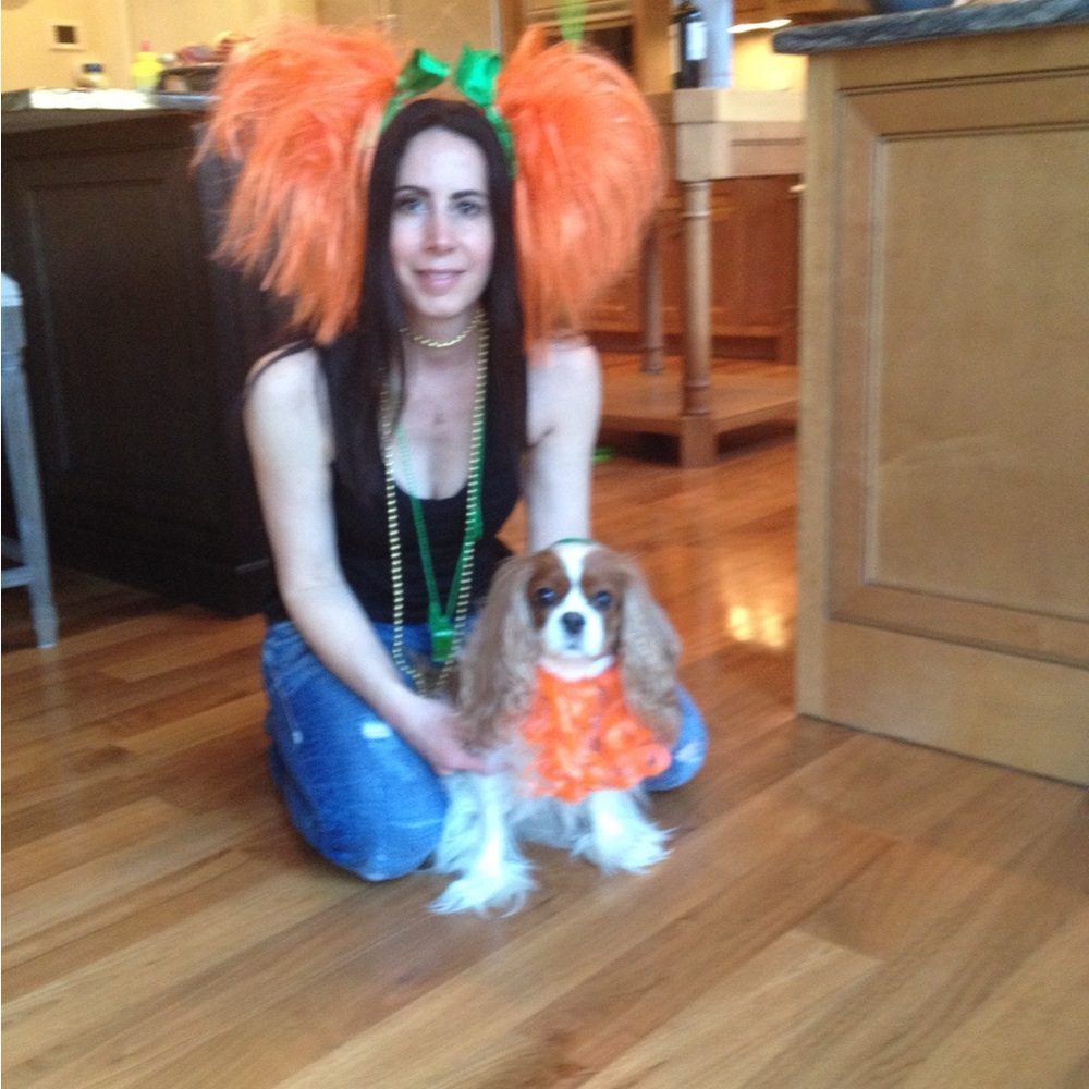 St Patrick  Leprechaun Green Glitter Dog Hat with Orange Beard